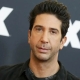 DAVID SCHWIMMER REFLECTS ON TURNING DOWN MEN IN BLACK: A CAREER-ALTERING DECISION AMID FRIENDS SUCCESS