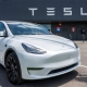 TESLA SALES DECLINE AS EV RACE INTENSIFIES