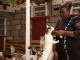 KENYAN CAT OWNERS REACT TO PROPOSED "CAT-TAX"