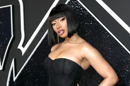 MEGAN THEE STALLION FILES FOR RESTRAINING ORDER AGAINST iMPRISONED TORY LANEZ