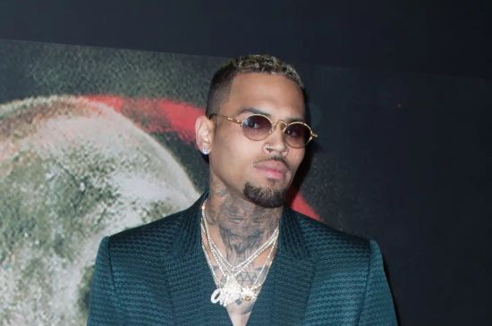 CHRIS BROWN’S SECURITY SUPERVISOR SAYS HE PAID EX-HOUSEKEEPER FIVE-FIGURE SUM FOLLOWING DOG ATTACK